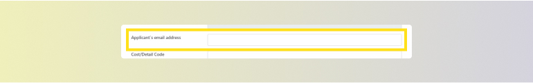 DBS online applicant’s email field